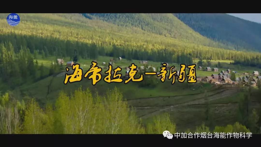 颗粒水溶肥 颗粒水溶肥