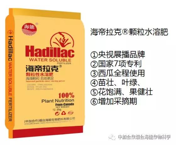 膨果水溶肥 膨果水溶肥