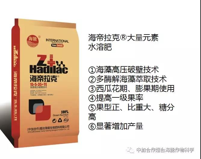 膨果水溶肥 膨果水溶肥