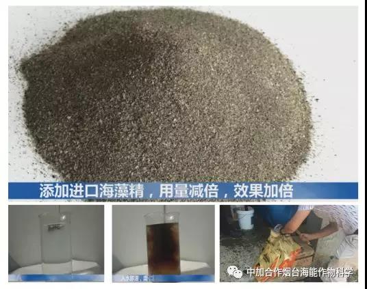 膨果水溶肥 膨果水溶肥