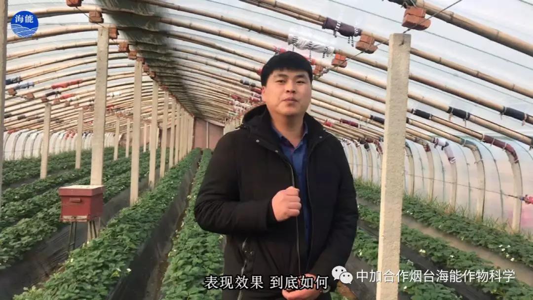 大量元素水溶肥