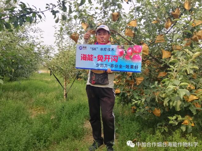 午夜福利国产视频底肥免开沟 用效果说话！