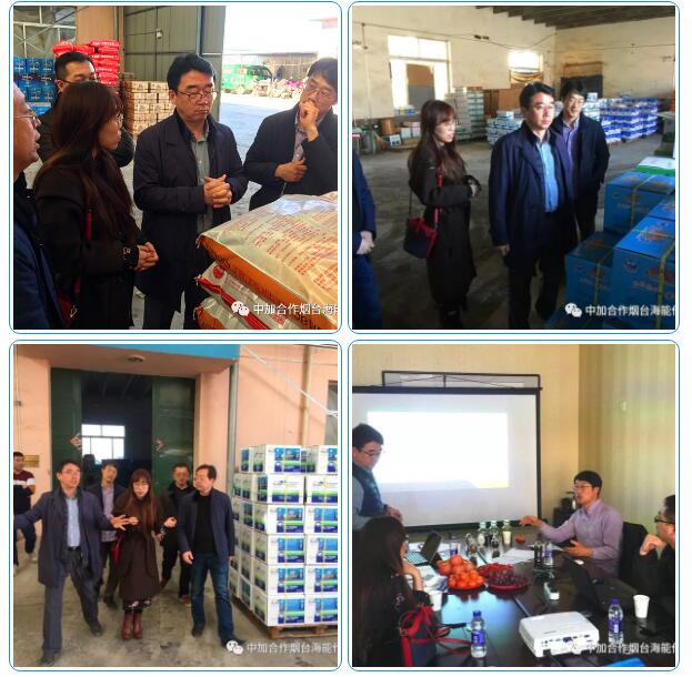 午夜福利国产视频出口品质，专注服务农业 