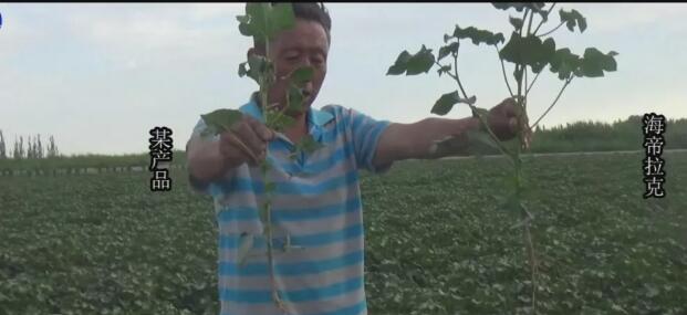 海帝拉克带你走进新疆----一起领略异域情怀