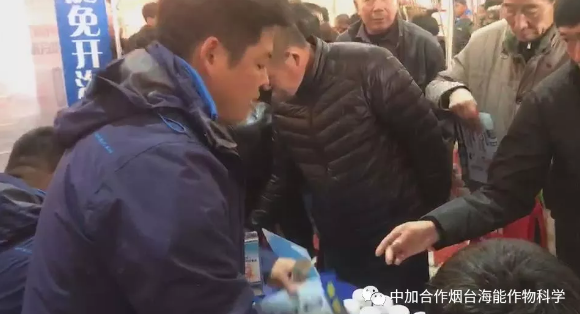 午夜福利国产视频生物带你玩转烟台苗木会