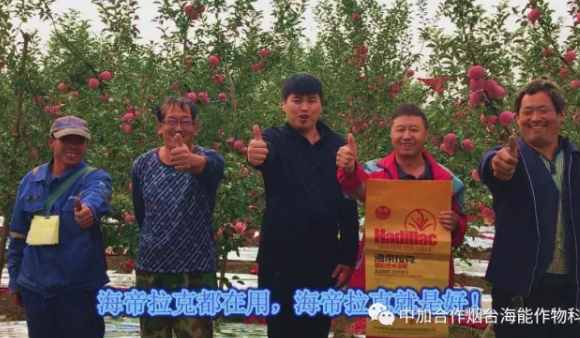 用实力证明一切-----众多种植户都在说这样的一句话