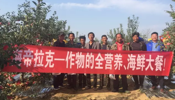 苹果树12月管理技术要点！抓紧时间看