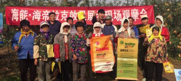 苹果树12月管理技术要点！抓紧时间看