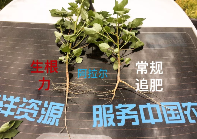 天山、戈壁、沙漠午夜福利国产视频与你在这里相遇