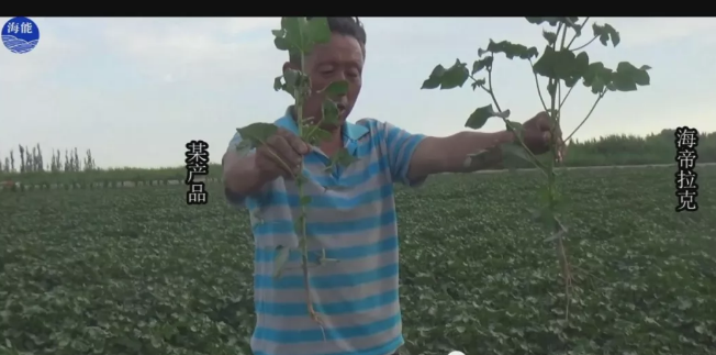 天山、戈壁、沙漠午夜福利国产视频与你在这里相遇