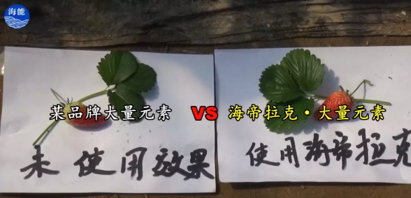 水肥一体化不止是节水、节肥！还有这功效！