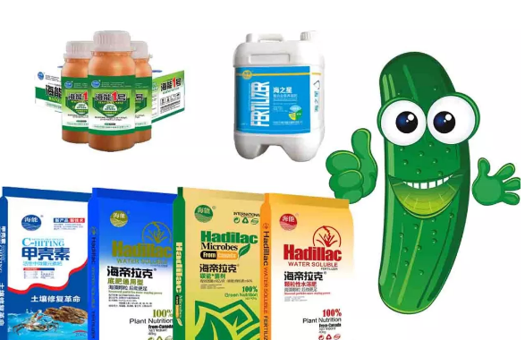 午夜福利国产视频生物黄瓜全程施肥技术