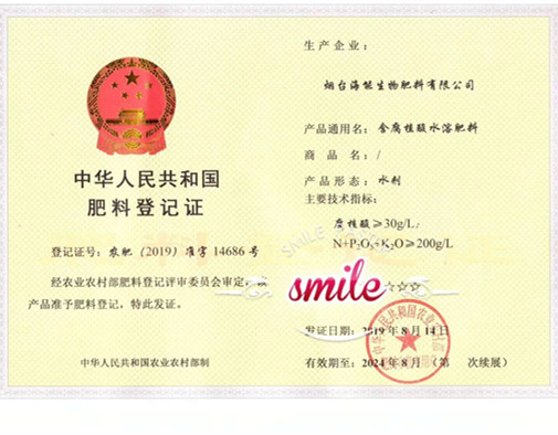 付出终会有回报，功夫不负有心人