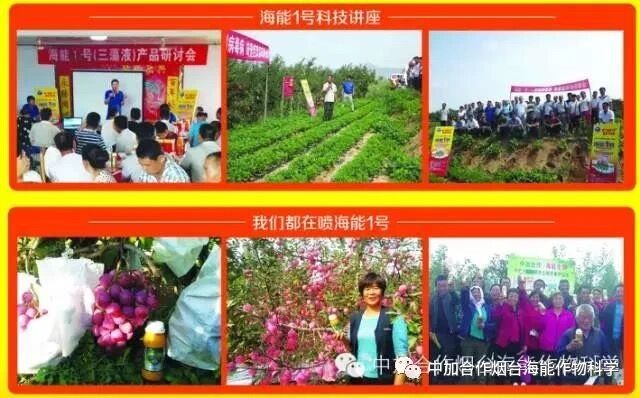 抗寒利器，午夜福利国产视频1号