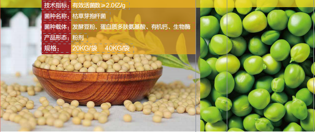 豆地主微生物菌剂 豆地主微生物菌剂