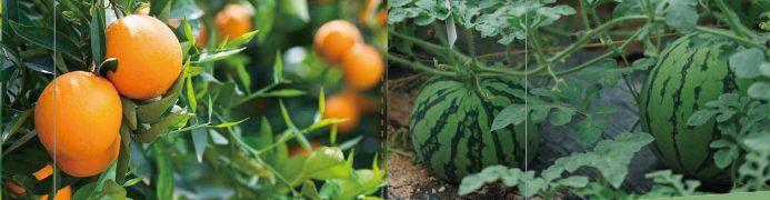 海帝拉克钙世英雄 海帝拉克钙世英雄